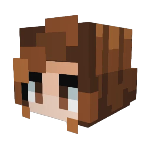 4x3ll3 Minecraft avatar head, 3D render