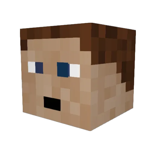4x9t Minecraft avatar head, 3D render
