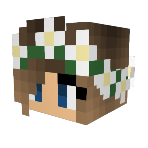 50000 Minecraft avatar head, 3D render