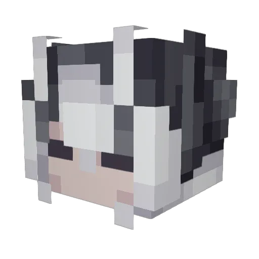 500Zyns Minecraft avatar head, 3D render