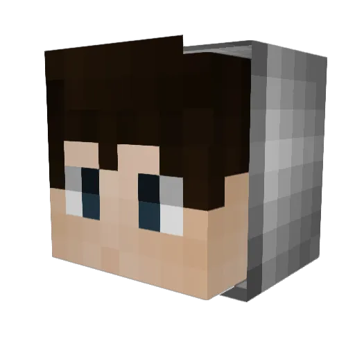 50EURO Minecraft avatar head, 3D render