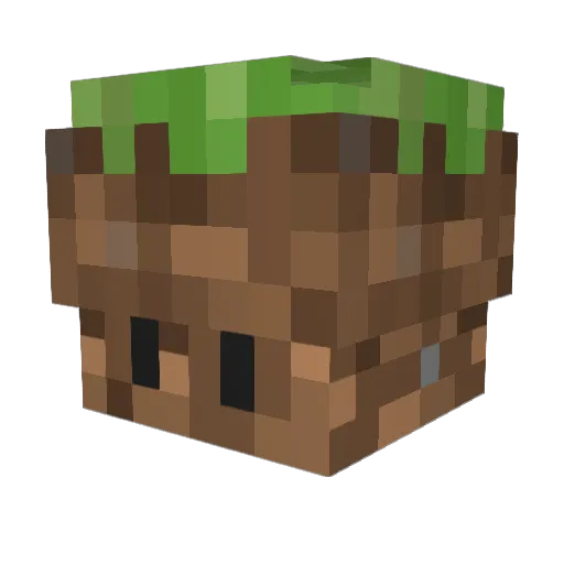 50Fly Minecraft avatar head, 3D render