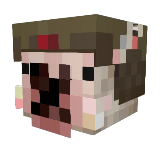 50kr Minecraft avatar head, 3D render