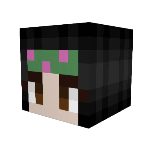 50v1sshawty Minecraft avatar head, 3D render