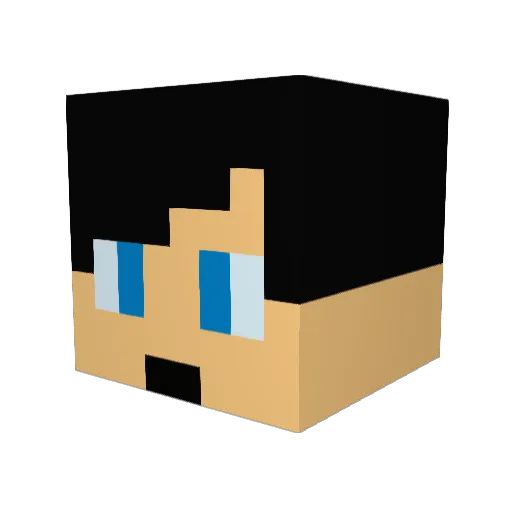 51L3NTK1LL3R Minecraft avatar head, 3D render