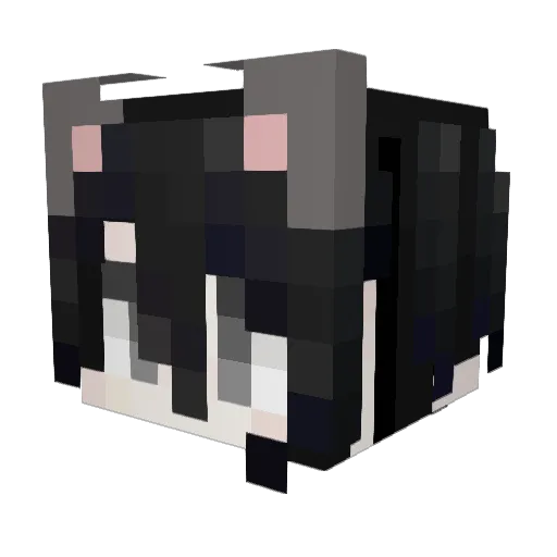 51_Fiver Minecraft avatar head, 3D render