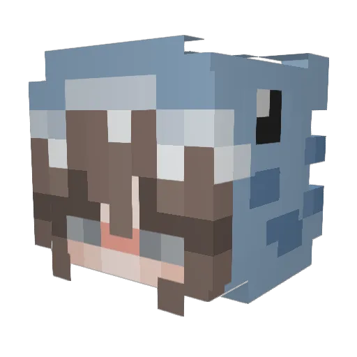 51lloyd74 Minecraft avatar head, 3D render
