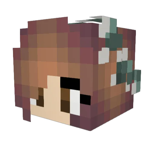 51r0n Minecraft avatar head, 3D render