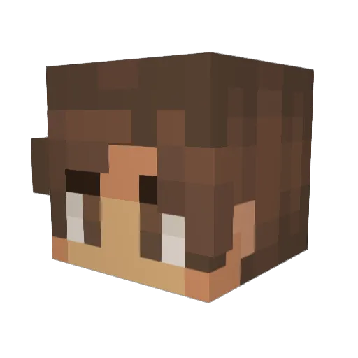 534N Minecraft avatar head, 3D render