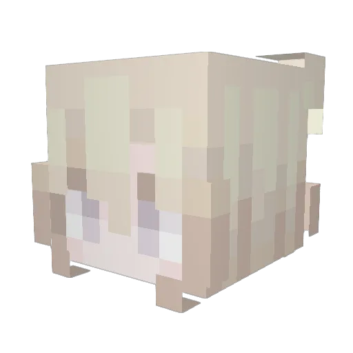 5360 Minecraft avatar head, 3D render