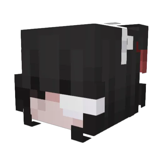 5389659653947637 Minecraft avatar head, 3D render