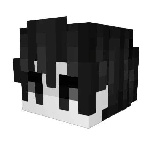 544 Minecraft avatar head, 3D render