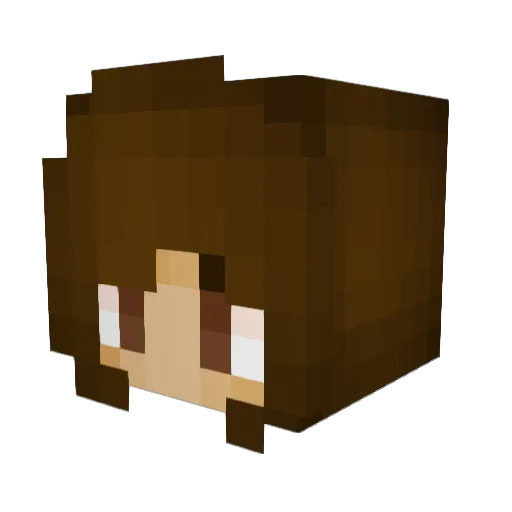 54floortiles Minecraft avatar head, 3D render