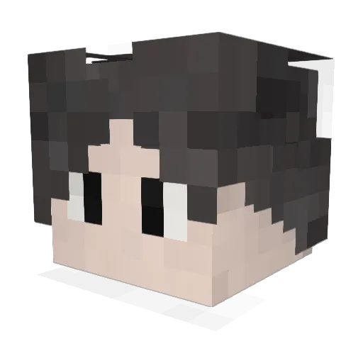 54pyy Minecraft avatar head, 3D render