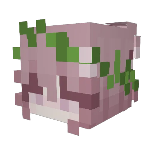 54vy Minecraft avatar head, 3D render