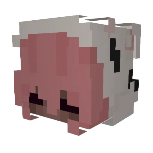 555Firefly Minecraft avatar head, 3D render
