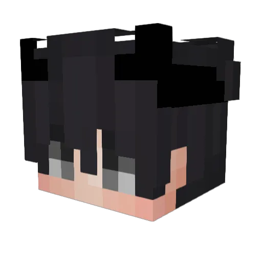 566hz Minecraft avatar head, 3D render