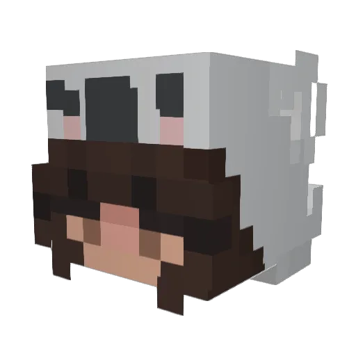 56tahlia Minecraft avatar head, 3D render