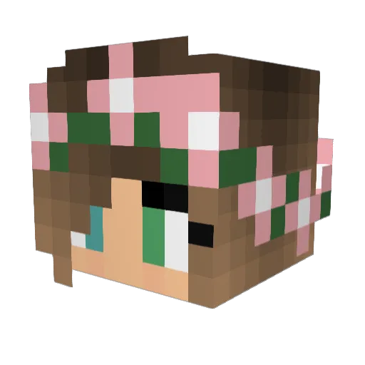 57Distruct57 Minecraft avatar head, 3D render
