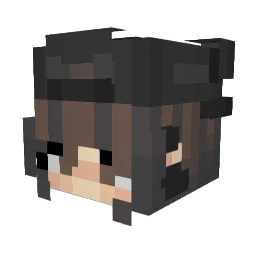 5813 Minecraft avatar head, 3D render