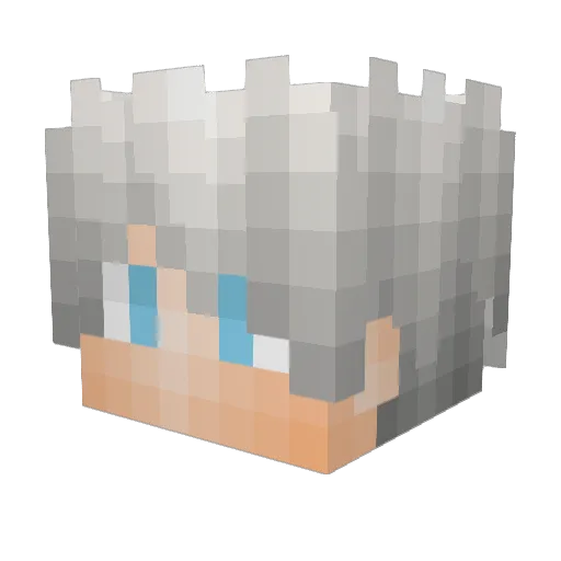 5896778 Minecraft avatar head, 3D render