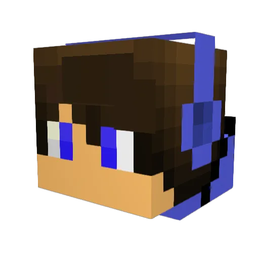 5AMU31 Minecraft avatar head, 3D render