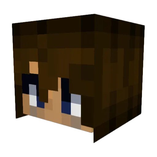 5DollarDeskFan Minecraft avatar head, 3D render
