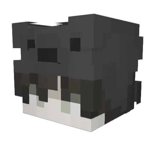 5GF Minecraft avatar head, 3D render