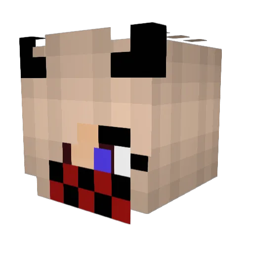 5HC Minecraft avatar head, 3D render