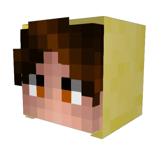 5HERN Minecraft avatar head, 3D render