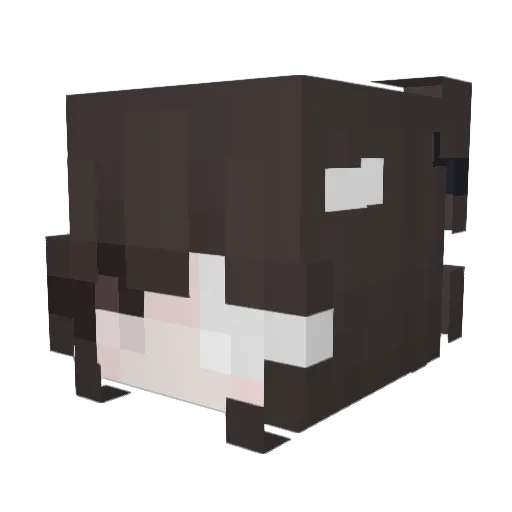 5HORTY Minecraft avatar head, 3D render