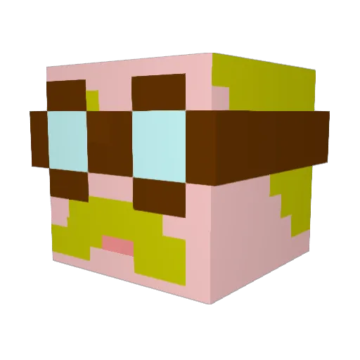 5L1N Minecraft avatar head, 3D render