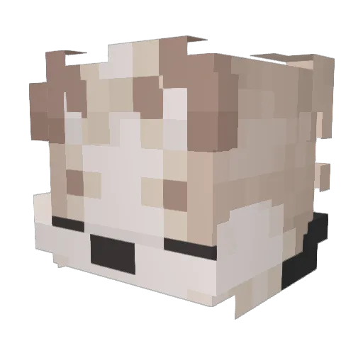 5M1B Minecraft avatar head, 3D render