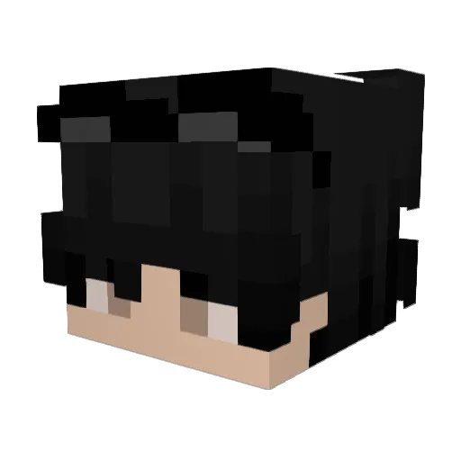 5Nyx5 Minecraft avatar head, 3D render