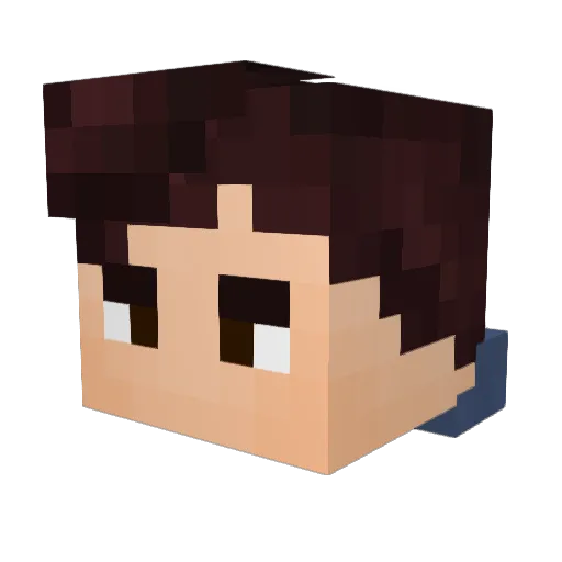 5QuaD5 Minecraft avatar head, 3D render