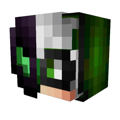 5SixPickUpSticks Minecraft avatar head, 3D render