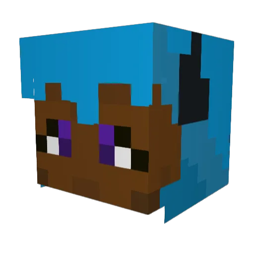 5UP3RK Minecraft avatar head, 3D render