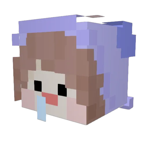 5_P Minecraft avatar head, 3D render