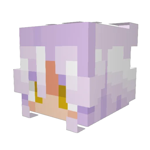 5akuuu Minecraft avatar head, 3D render
