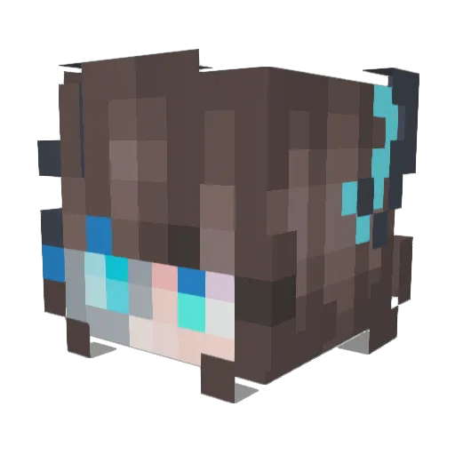 5am0e1ay Minecraft avatar head, 3D render