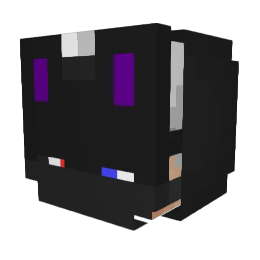 5appdata5 Minecraft avatar head, 3D render