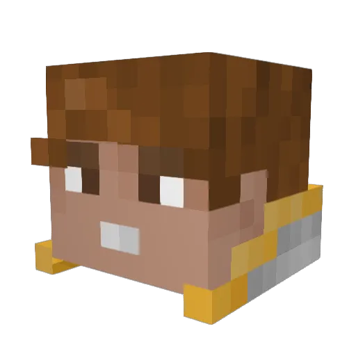 5asta Minecraft avatar head, 3D render