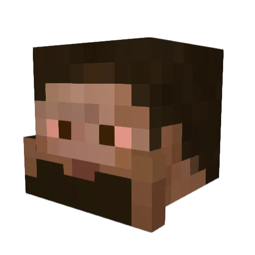 5ayden Minecraft avatar head, 3D render
