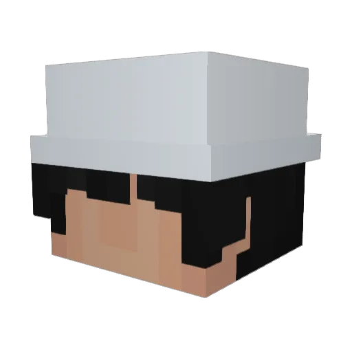 5bzh_ Minecraft avatar head, 3D render
