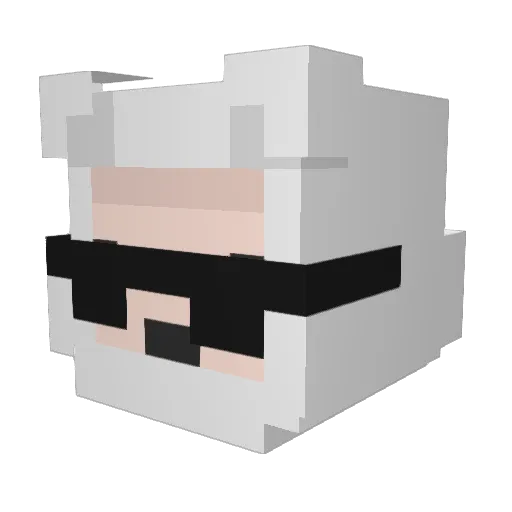 5cams Minecraft avatar head, 3D render