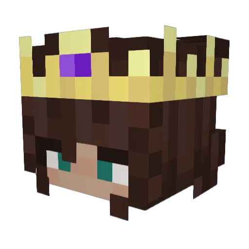 5ela5 Minecraft avatar head, 3D render
