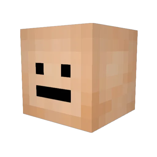 5exonthebeach Minecraft avatar head, 3D render