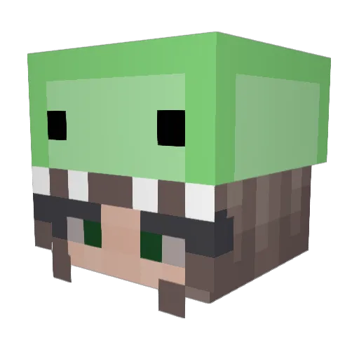 5exualchocolate Minecraft avatar head, 3D render