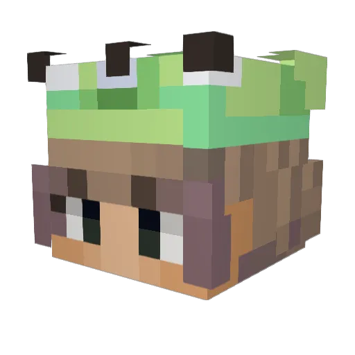 5gramdully Minecraft avatar head, 3D render