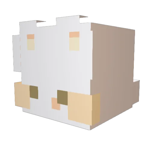 5gu_ Minecraft avatar head, 3D render